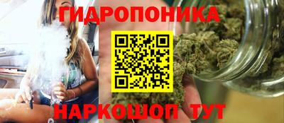 скорость Заводоуковск
