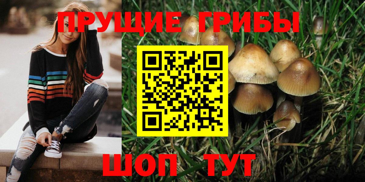 Галлюциногенные грибы прущие грибы  Псилоцибиновые грибы ЛСД  Лянтор  Вход с VPN 